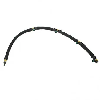 Tuyau, carburant de fuite HOFFER 8029788E