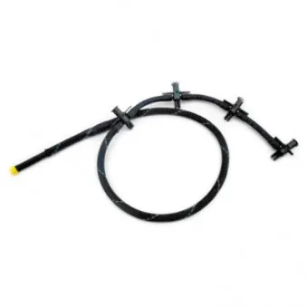 Tuyau, carburant de fuite HOFFER OEM 13537807228