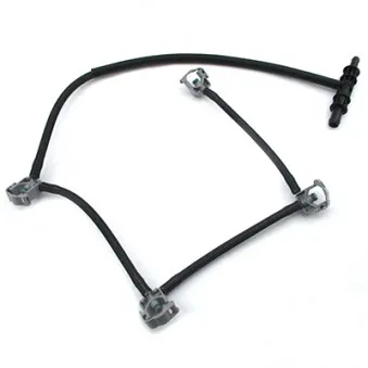 Tuyau, carburant de fuite HOFFER OEM 6460702132