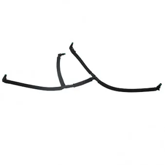 Tuyau, carburant de fuite HOFFER 8029801E