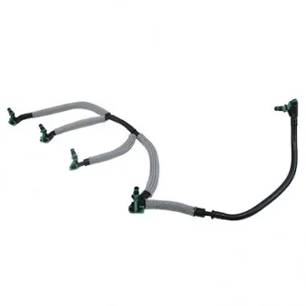 Tuyau, carburant de fuite HOFFER 80298020