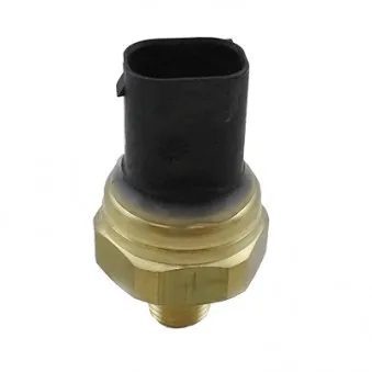 Capteur, pression de carburant HOFFER 8029825