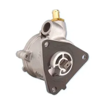 Pompe à vide, freinage HOFFER 8091002