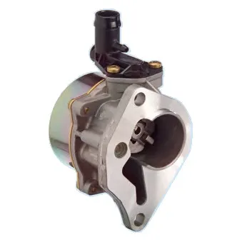 Pompe à vide, freinage HOFFER 8091068
