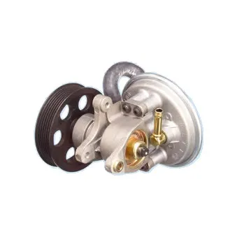 Pompe à vide, freinage HOFFER OEM 456532