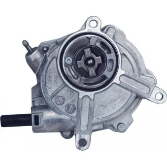Pompe à vide, freinage HOFFER 8091121