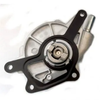 Pompe à vide, freinage HOFFER 8091183