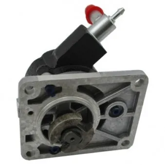 Pompe à vide, freinage HOFFER 8091190