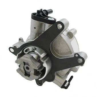 Pompe à vide, freinage HOFFER 8091195