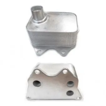 Radiateur d'huile HOFFER OEM 06J117021D