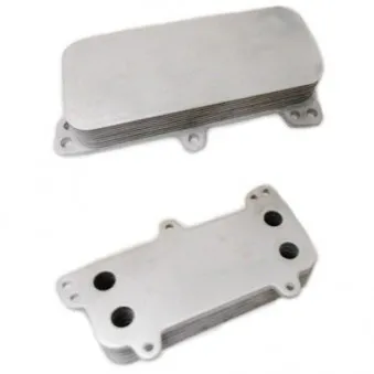 Radiateur d'huile HOFFER OEM 070117021D