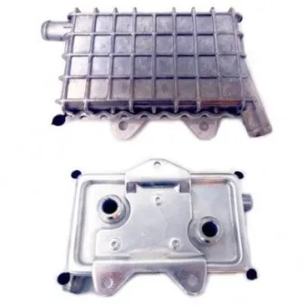 Radiateur d'huile HOFFER OEM A6011800065