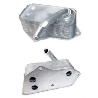Radiateur d'huile HOFFER OEM 11427525333