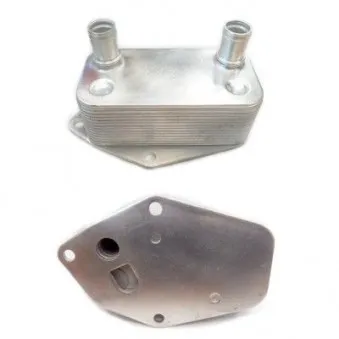 Radiateur d'huile HOFFER OEM 11422247015