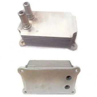 Radiateur d'huile HOFFER OEM YC1Q6B624AK