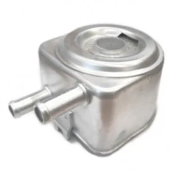 Radiateur d'huile HOFFER OEM 1660067g00