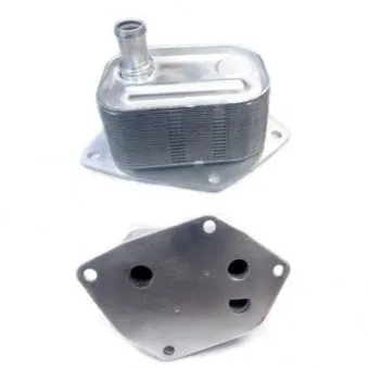 Radiateur d'huile HOFFER OEM 264102A150
