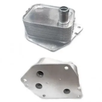 Radiateur d'huile HOFFER OEM 264102A501