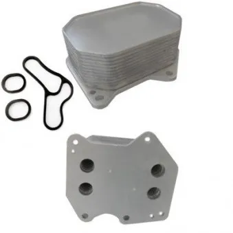 Radiateur d'huile HOFFER OEM BK2Q6B624CB