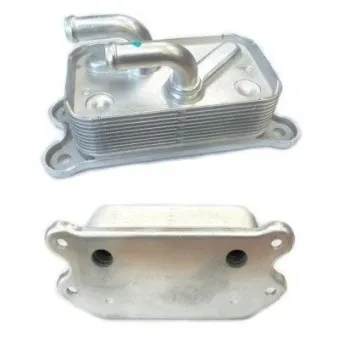 Radiateur d'huile HOFFER OEM 30622090