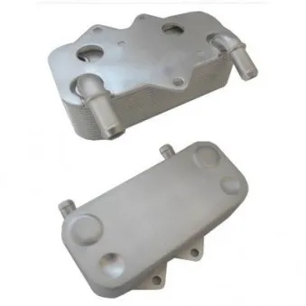 Radiateur d'huile HOFFER OEM 0650607
