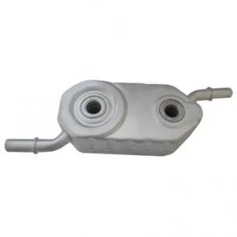 Radiateur d'huile HOFFER OEM 1103G9