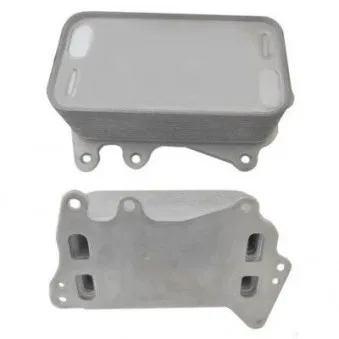 Radiateur d'huile HOFFER OEM 11428510856