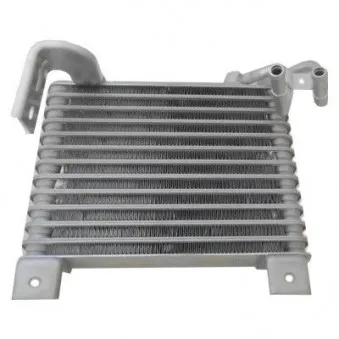 Radiateur d'huile HOFFER 8095167