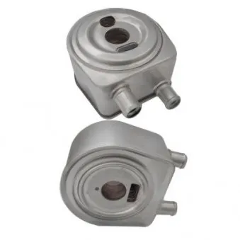 Radiateur d'huile HOFFER OEM 1103A2