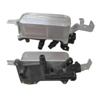 Radiateur d'huile HOFFER 8095180