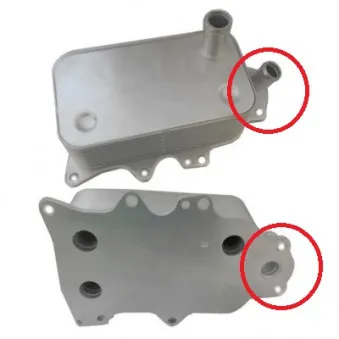 Radiateur d'huile HOFFER OEM BK2Q6B624AA