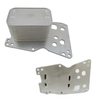 Radiateur d'huile HOFFER OEM 11428510855