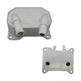 Radiateur d'huile HOFFER OEM 1355341