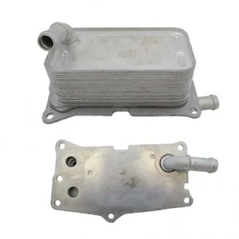 Radiateur d'huile de boîte automatique HOFFER OEM A2465010501