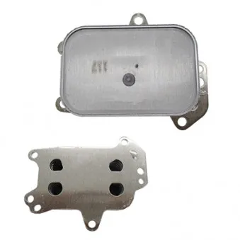 Radiateur d'huile HOFFER OEM 9804281280
