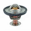 HOFFER 8192091 - Thermostat, liquide de refroidissement