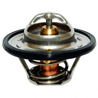 Thermostat, liquide de refroidissement HOFFER OEM 6173232