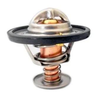 Thermostat, liquide de refroidissement HOFFER OEM 2120005D10