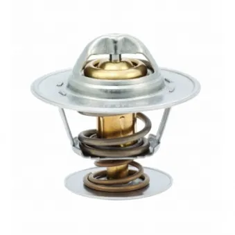 Thermostat, liquide de refroidissement HOFFER OEM 1096699
