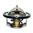 HOFFER 8192137 - Thermostat, liquide de refroidissement