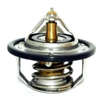 Thermostat, liquide de refroidissement HOFFER OEM 2550033060