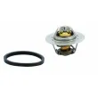 Thermostat, liquide de refroidissement HOFFER [8192145]