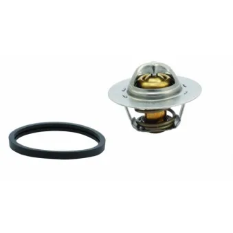 HOFFER 8192145 - Thermostat, liquide de refroidissement