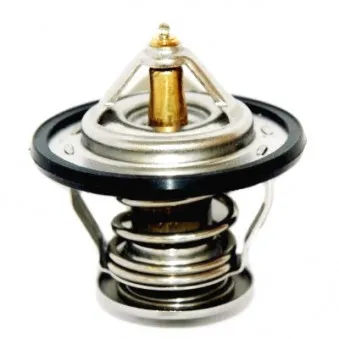 Thermostat, liquide de refroidissement HOFFER OEM 2550022050