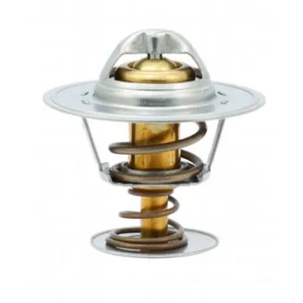 Thermostat, liquide de refroidissement HOFFER OEM 4351196