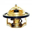 HOFFER 8192182 - Thermostat, liquide de refroidissement