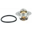 HOFFER 8192184 - Thermostat, liquide de refroidissement