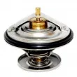 HOFFER 8192187 - Thermostat, liquide de refroidissement