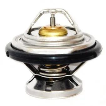 Thermostat, liquide de refroidissement HOFFER OEM 6062030275