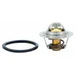 HOFFER 8192242 - Thermostat, liquide de refroidissement